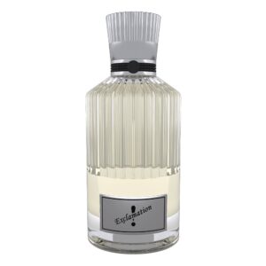 EXLAMITION SILVER 100 ml
