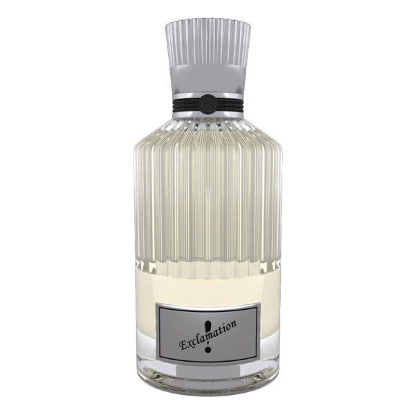 EXLAMITION SILVER 100 ml