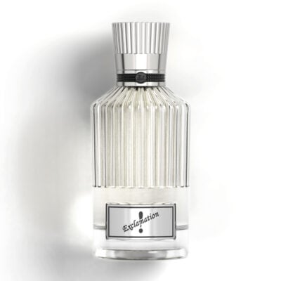 EXLAMITION SILVER 100 ml