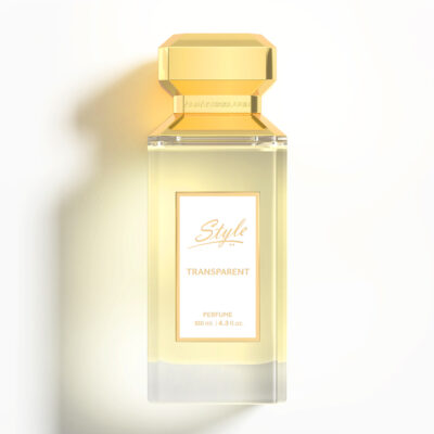 ستايل فضي عطر 100 مل